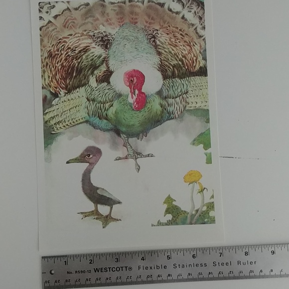 💙4/20 vintage fairy tale illustration - Picture 3 of 3